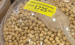 Kavrulmuş Fındık Fiyatları El Yakıyor!