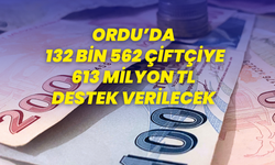 Ordu’da 132 bin 562 çiftçiye 613 milyon TL destek verilecek