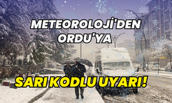 Meteoroloji'den Ordu'ya sarı kodlu uyarı!