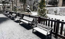 Tokat güne kar yağışıyla uyandı