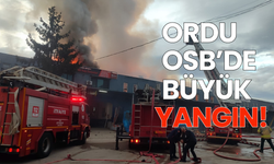 Ordu OSB’de büyük yangın!