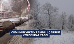 Ordu'nun yüksek rakımlı ilçelerinde kar yağışı etkili oldu