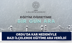 Ordu'da kar nedeniyle bazı ilçelerde eğitime ara verildi