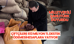 Şanlıtürk duyurdu: Çiftçilere 613 milyon TL destek ödemesi hesaplara yatıyor