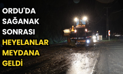 Ordu'da sağanak sonrası heyelanlar meydana geldi