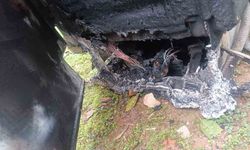 Alanya'da çamaşır makinesi yangını korkuttu