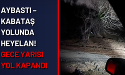Aybastı – Kabataş yolunda heyelan! Gece yarısı yol kapandı