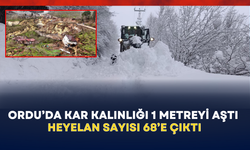 Ordu’da kar kalınlığı 1 metreyi aştı: Heyelan sayısı 68’e çıktı