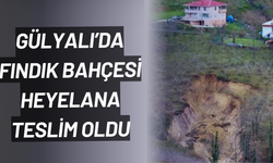 Ordu’da bir heyelan daha: GülyalI'da fındık bahçesi toprak altında kaldı