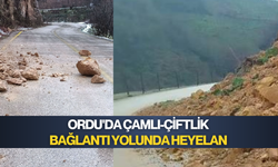 Çamlı Çiftlik yolunda göçük meydana geldi