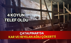 Çatalpınar’da kar ve heyelan ağıl çökertti: 4 koyun telef oldu