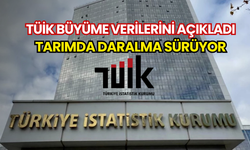 TÜİK büyüme verilerini açıkladı: Tarımda daralma sürüyor