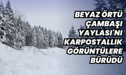 Beyaz örtü Çambaşı Yaylası'nı karpostallık görüntülere bürüdü