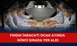 Fındık ihracatı ocak ayında ikinci sırada yer aldı