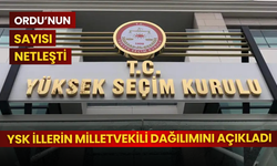 YSK illerin milletvekili dağılımını açıkladı: Ordu’nun sayısı netleşti