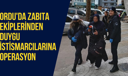 Ordu'da zabıta ekiplerinden duygu istismarcılarına operasyon