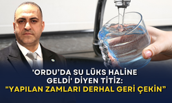 'Ordu’da su lüks haline geldi' diyen Titiz: "Yapılan zamları derhal geri çekin”