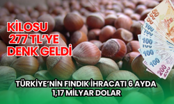 Türkiye’nin fındık ihracatı 6 ayda 1,17 milyar dolar: Kilosu 277 TL’ye denk geldi