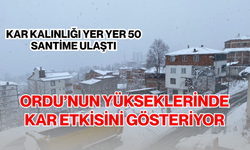 Ordu'nun yüksek kesimlerinde kar yağışı etkisini gösteriyor