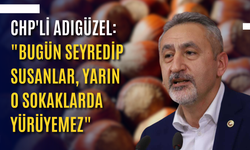 CHP'li Adıgüzel: "Bugün seyredip susanlar, yarın o sokaklarda yürüyemez"