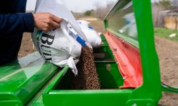 Ankara'da 2026 karabuğday ekim çalışmaları başladı