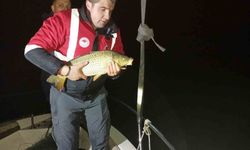 Samsun'da kaçak avcılığa geçit yok: 60 kiloluk sazan geri salındı