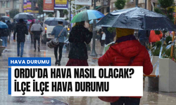 Ordu'da hava nasıl olacak? İlçe ilçe hava durumu