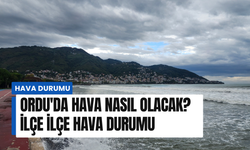 Ordu'da hava nasıl olacak? İlçe ilçe hava durumu