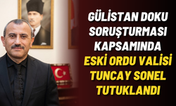 Gülistan Doku soruşturması kapsamında eski Ordu Valisi Tuncay Sonel tutuklandı
