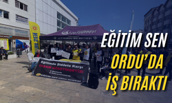 Eğitim Sen Ordu’da iş bıraktı