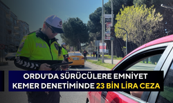 Ordu'da sürücülere emniyet kemer denetiminde 23 bin lira ceza