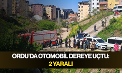 Ordu'da otomobil dereye uçtu: 2 yaralı