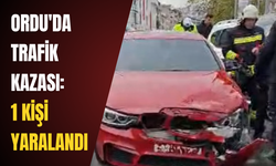 Ordu'da trafik kazası: 1 kişi yaralandı