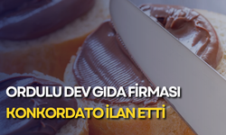 Ordulu dev gıda firması konkordato ilan etti