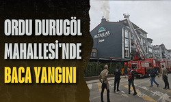 Ordu Durugöl Mahallesi'nde baca yangını