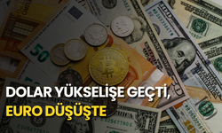 Dolar yükselişe geçti, euro düşüşte