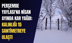 Perşembe Yaylası'na Nisan ayında kar yağdı: Kalınlığı 15 santimetreye ulaştı