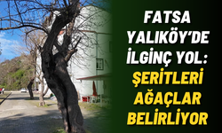 Fatsa Yalıköy’de ilginç yol: Şeritleri ağaçlar belirliyor
