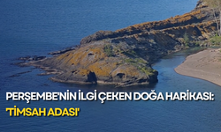 Perşembe'nin ilgi çeken doğa harikası: 'Timsah Adası'