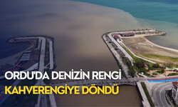 Ordu'da denizin rengi kahverengiye döndü