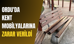 Ordu'da kent mobilyalarına zarar verildi
