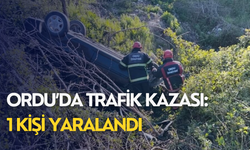 Ordu’da trafik kazası: 1 kişi yaralandı