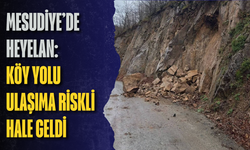 Mesudiye’de heyelan: Köy yolu ulaşıma riskli hale geldi