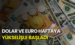Dolar ve euro haftaya yükselişle başladı