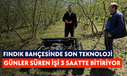 Fındık bahçesinde son teknoloji: Günler süren işi 3 saatte bitiriyor