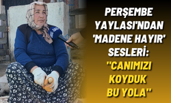 Perşembe Yaylası'ndan 'madene hayır' sesleri: "Canımızı koyduk bu yola"