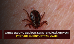 Bahçe sezonu geliyor, kene tehlikesi artıyor: Prof. Dr. Enginyurt'tan uyarı