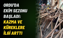 Ordu'da ekim sezonu başladı: Kazma ve küreklere ilgi arttı