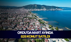 Ordu’da Mart ayında 828 konut satıldı