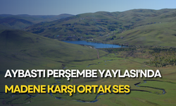 Aybastı Perşembe Yaylası'nda madene karşı ortak ses